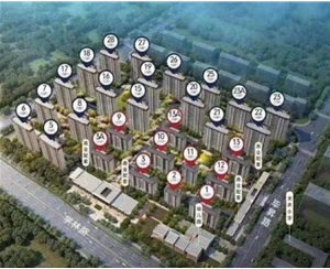 合肥學(xué)林春曉項目